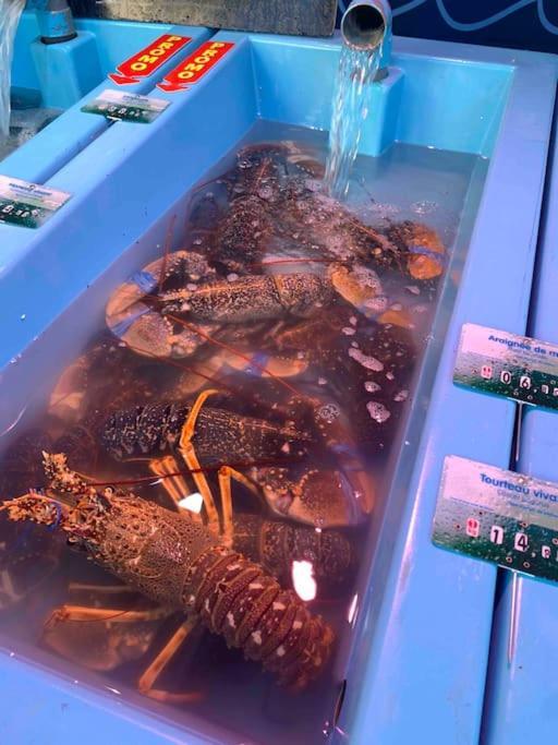 Вилла La Petite Bretonne Plounerin Экстерьер фото